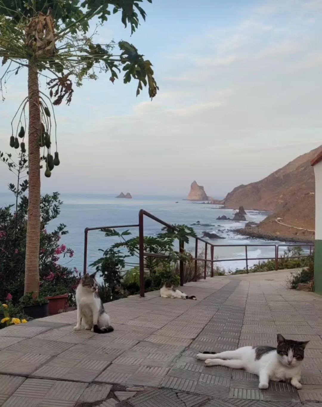 Casa Manolo Paraiso Beach Trail Almaciga Eksteriør billede